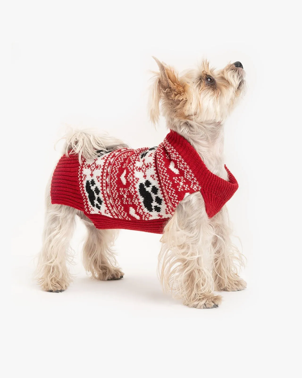 Christmas dog sweater
